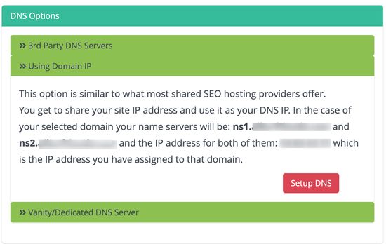 vanity dns sunucusu - aynı ip