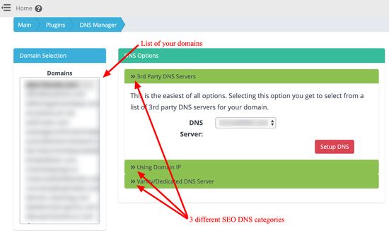 Akıllı SEO DNS Yöneticisi - Ana arayüz