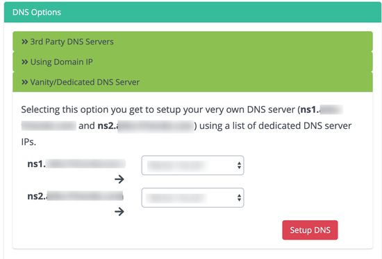 vanity dns sunucusu - özel ip